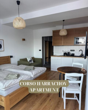 Apartment Corso Harrachov